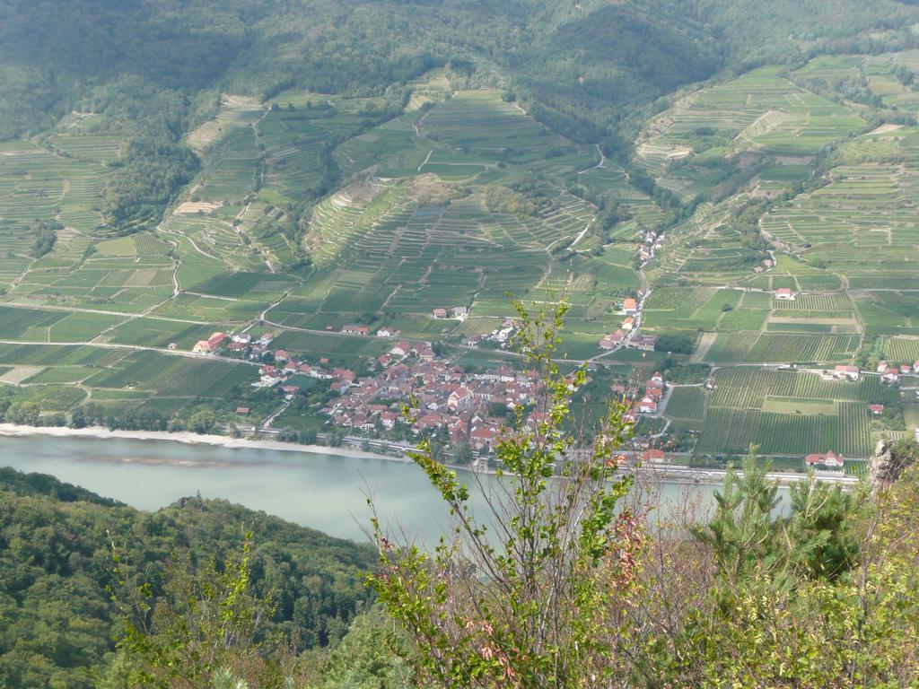 Wösendorf Weingut Langmayer מראה חיצוני תמונה