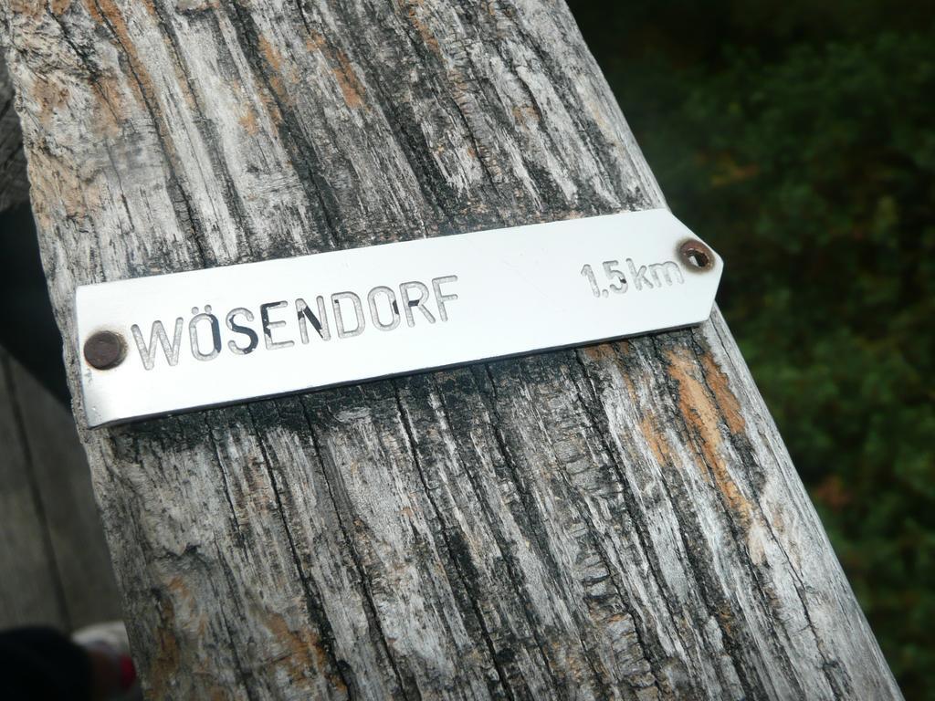 Wösendorf Weingut Langmayer מראה חיצוני תמונה