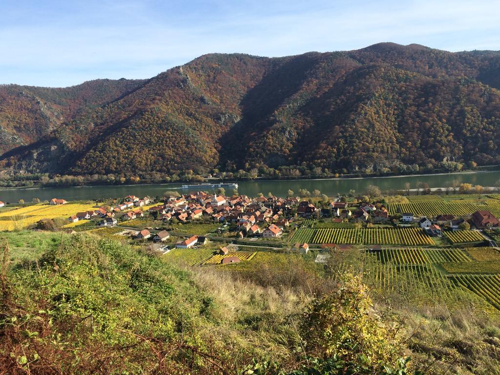 Wösendorf Weingut Langmayer מראה חיצוני תמונה